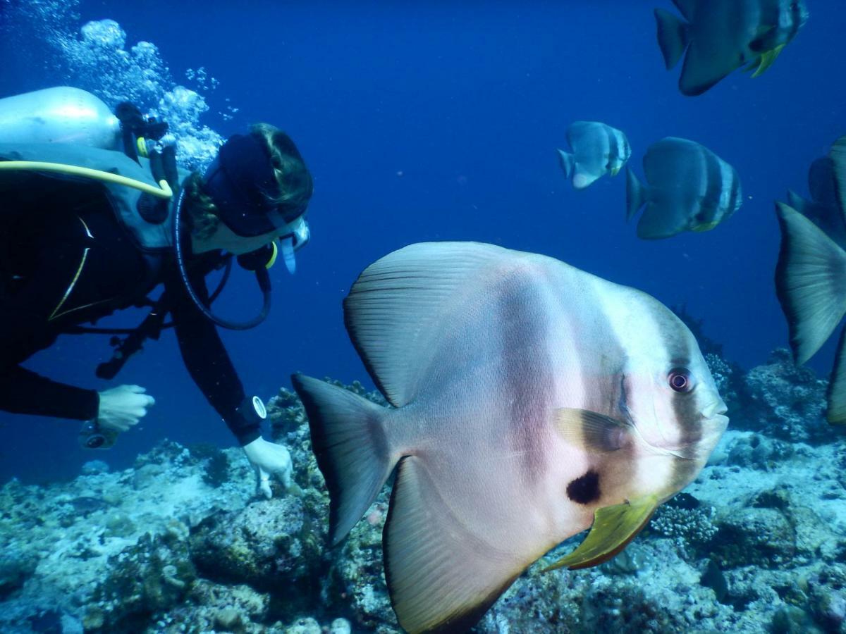 Ithaa Dhigurah - Feel Like Home Stay Экстерьер фото