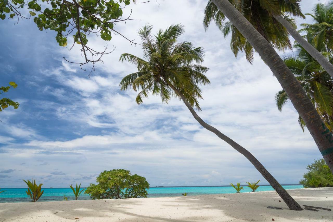 Ithaa Dhigurah - Feel Like Home Stay Экстерьер фото